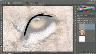 Photoshop tutorial:  Hand-painting an image with a Wacom Cintiq | lynda.com