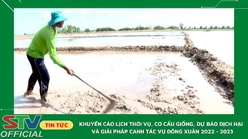 STV - Khuyến cáo lịch thời vụ, cơ cấu giống canh tác vụ Đông Xuân 2022 - 2023