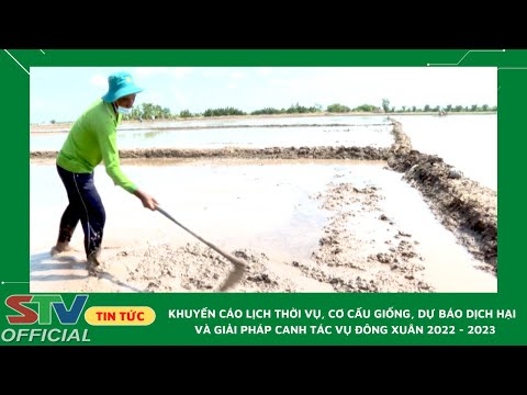 Video STV - Khuyến cáo lịch thời vụ, cơ cấu giống canh tác... - youtube