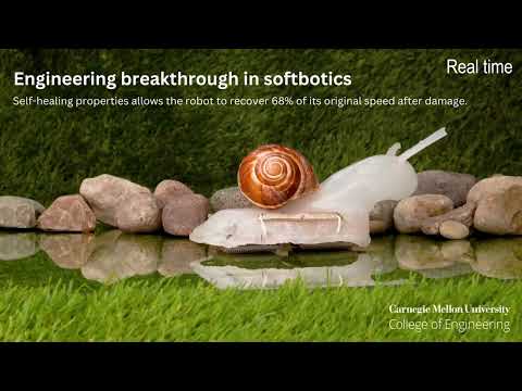 Engineering breakthrough in softbotics