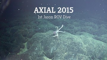 Axial 2015 Video Blog 6 - 1st Jason ROV Dive