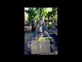 Fernando Sor - Etude in B Minor