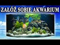 Początkujący? 🐠 Propozycje RYB do Pierwszego AKWARIUM