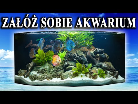Wideo: Akwarium 5 Rzeczy, Które Musisz Wiedzieć