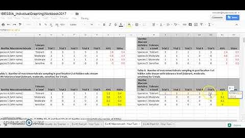 RAC IA Support: Ex3 - Macroinvertebrates GoogleSheets (Your Turn Option)