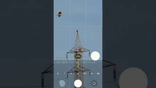 100X Zoom Samsung S23Ultra