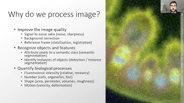 Image Processing for Light Microscopy - Jérôme Boulanger