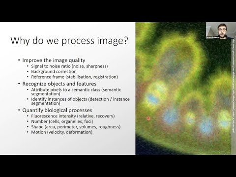 Image Processing for Light Microscopy - Jérôme Boulanger