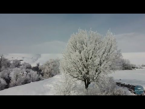 Efkan Şeşen - Gün Ağarırken | Official Music Video © 2022 Sesen Muziek