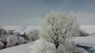 Efkan Şeşen - Gün Ağarırken | Official Music Video © 2022 Sesen Muziek