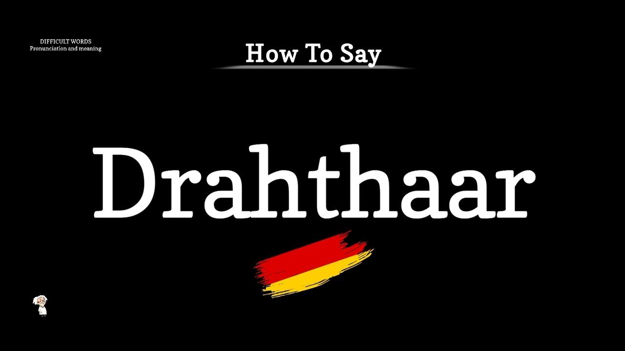 how-to-say-drahthaar-german-dog-breed-pronunciation-guide-learn