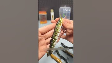 Mồi câu lure cá chạch nhiều khớp #cauca #fishing