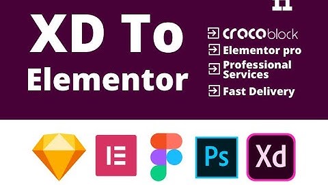Adobe Xd to Wordpress Elementor Wordpress Website Design