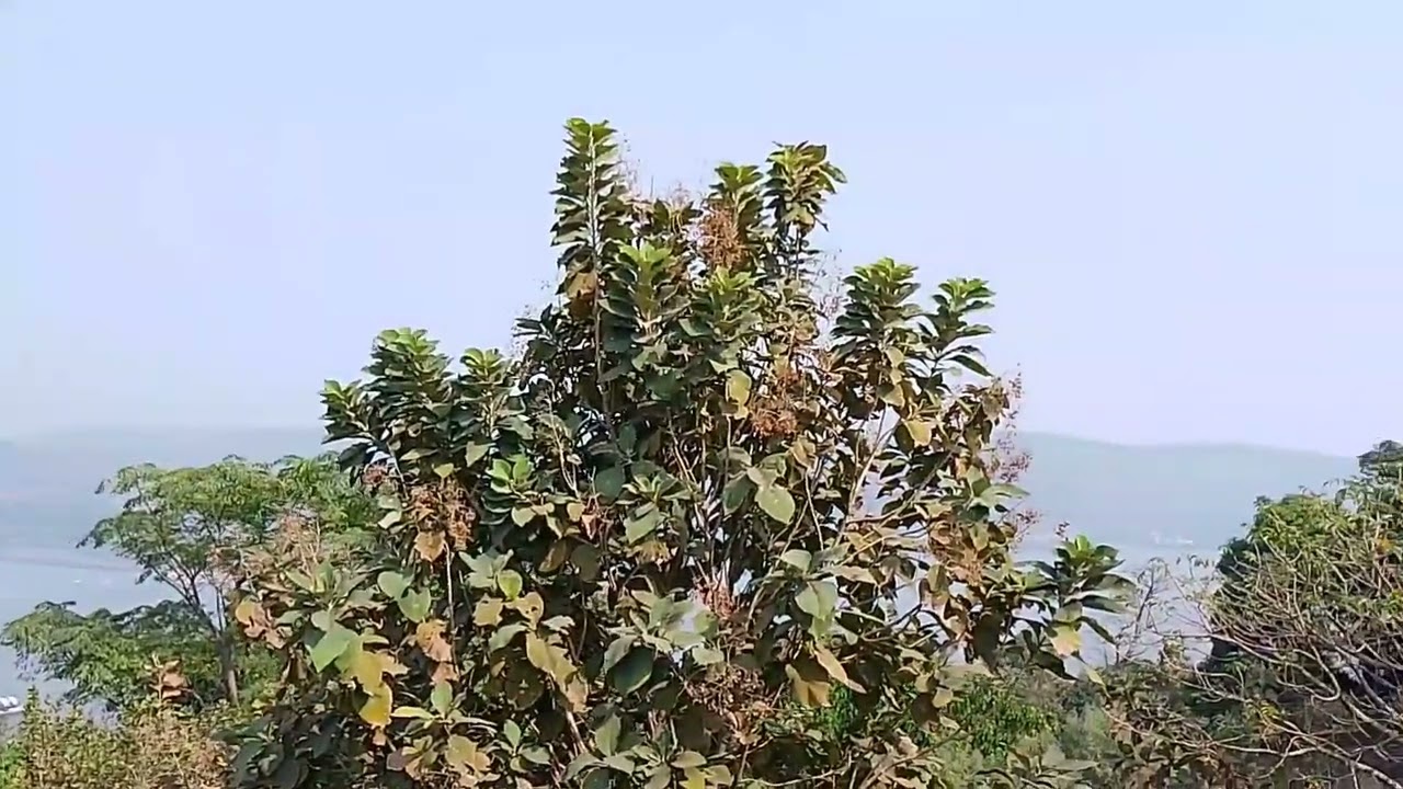 Big sister banglow colour work complete 