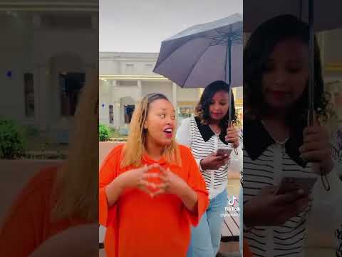 Abotte Filmii Haara Jimma Jima