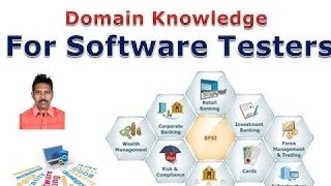 Domain Knowledge for Software Professionals