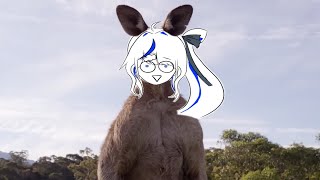 캥뇨루의 서열 정리 [아오쿠모 린]