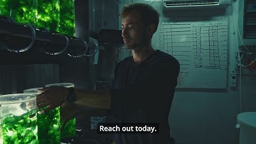 PURE ALGAE - introduction video