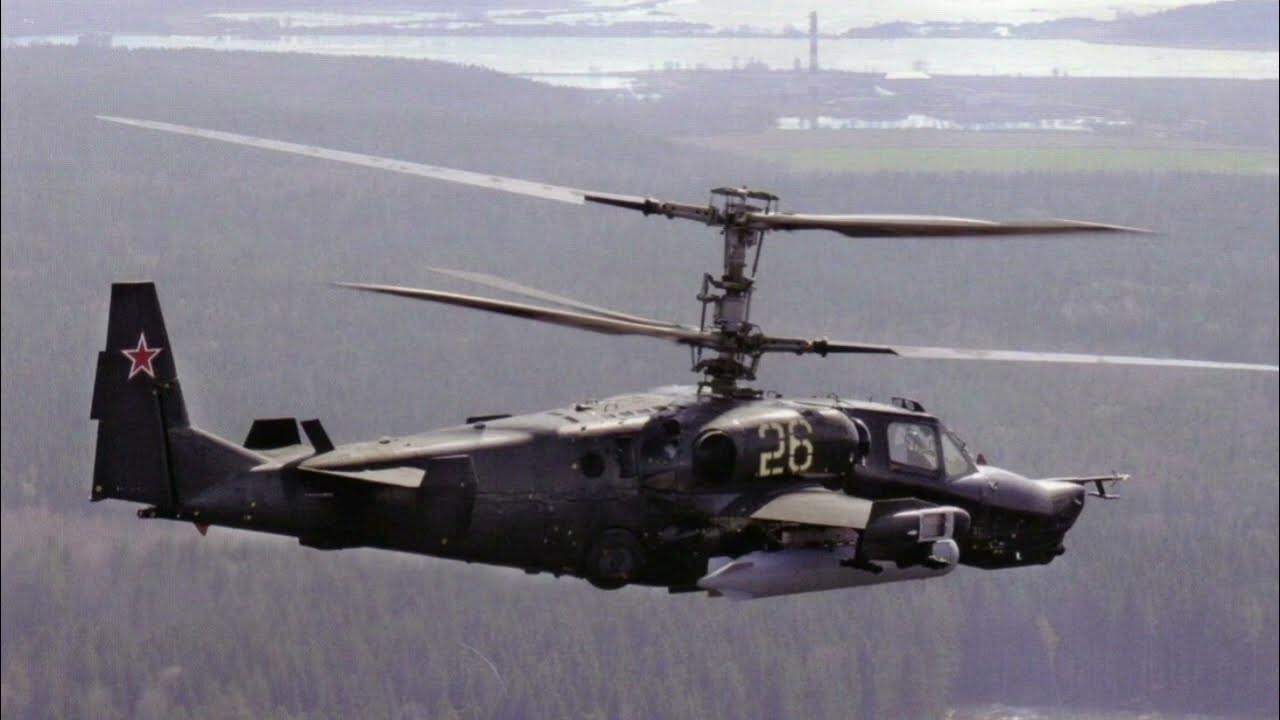 Как выглядит черная акула