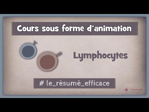 Vidéo: Les leucocytes et les lymphocytes sont-ils la même chose ?