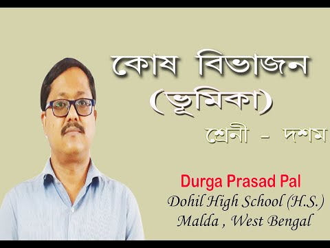 ভিডিও: অভিভাবক হিসাবে অভিন্ন জেনেটিক উপাদান আছে?