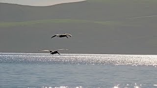 Point Reyes National Sea Shore 11 24 21 by FarPointImages 9 views 2 years ago 3 minutes, 38 seconds