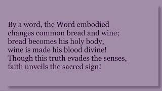 Holy Thursday 2023 - Streamed Live From The Church of Saint Matthew - Father Steve Adrian