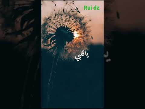 اروع فديوهات مكتوبة يا قالبي وين دايني اغاني جزائرية 