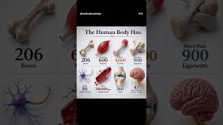 the human body has..... #medical #anatomy #medicalstudent #muscle #tendons
