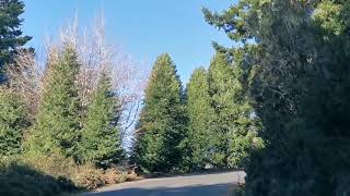 Chão das Feiteiras, Madeira 26th Dec 2019