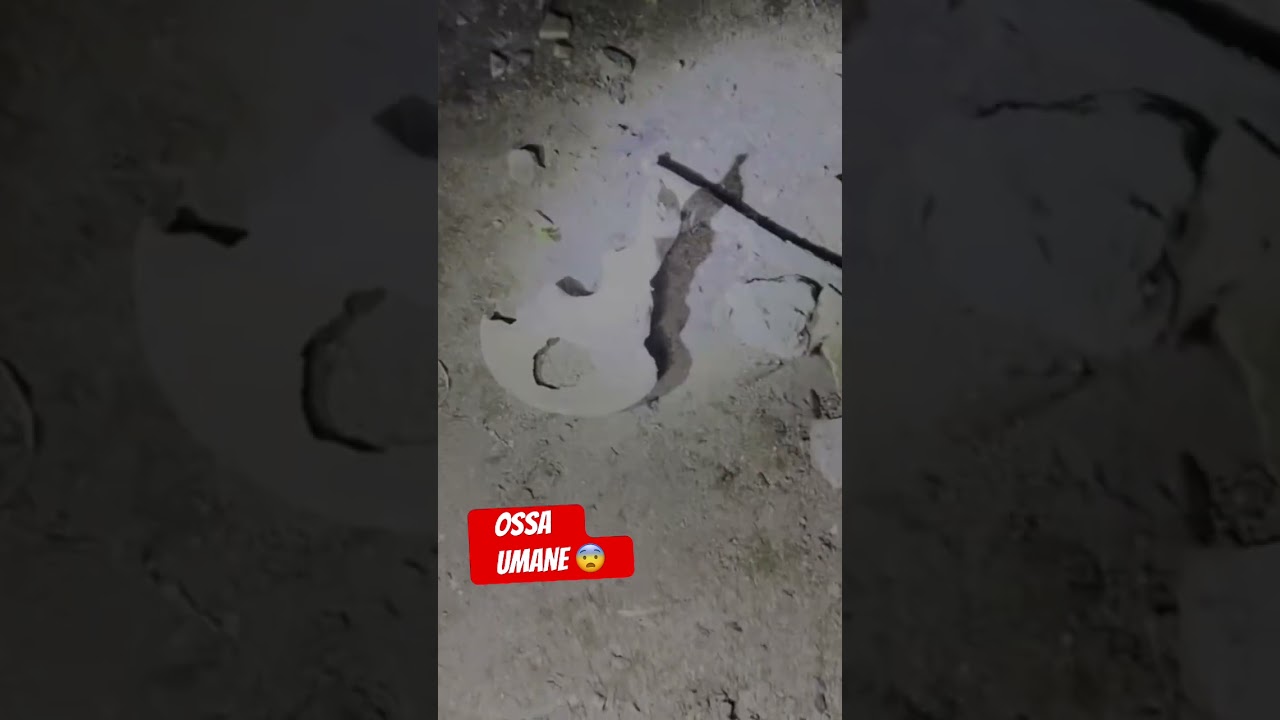 OSSA UMANE 😨😨 💀 link giù ⬇️ 