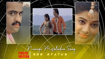||#Shorts||💘...Nunugu Misalodua  Song||JR NTR||Priyamani||4k Full Screen Status...💘||