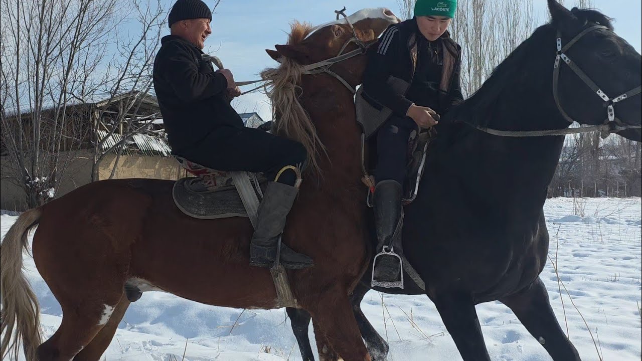 Камал акенин күчтүү аты 