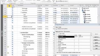 Microsoft Project 2010 Using Priority Levels