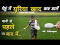 👉गेहूं में पहला पानी देने से पहले ये काम हर कोई करे 😱