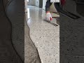 🌟🎨 Flawless Finish: Spreading Glossy Terrazzo Epoxy Floor Coating