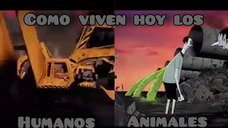 Un Video Para Reflexionar 😢🌱