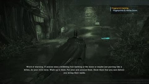 Batman: Return to Arkham - Arkham Asylum Glitch