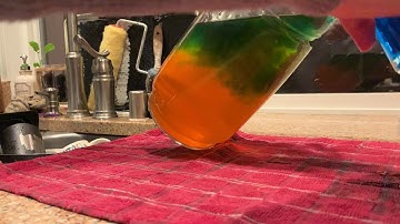 Thermohaline circulation demonstration