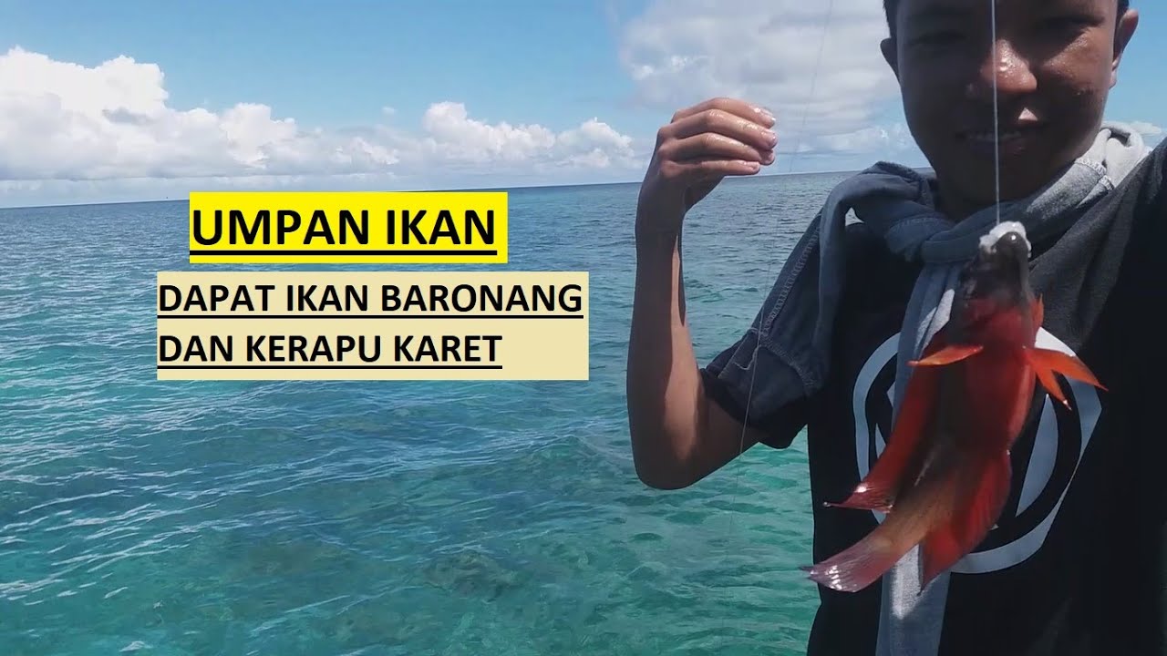 Mancing di laut pake umpan ikan dapat ikan baronang dan kerapu karet