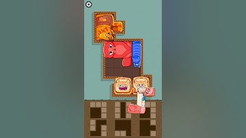 Funny Puzzle Cats 75 - Gameplay Walkthrough (iOS & Android) #shorts