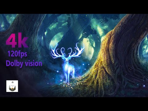 4k 120fps Dolby vision with amazing animal sounds (hd colorfully dynamic) #19