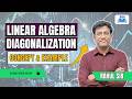 Diagonalization | Eigenvalues, Eigenvectors with Concept of Diagonalization | Matrices | RSG Classes