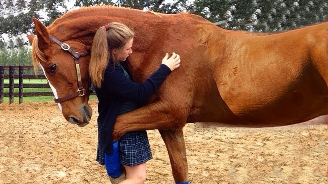 Animals have such big hearts, They Never Forget Their Owners!