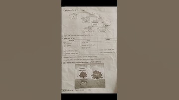9th science 2 mid term exam question paper 2024🔥#study #science#subscribe