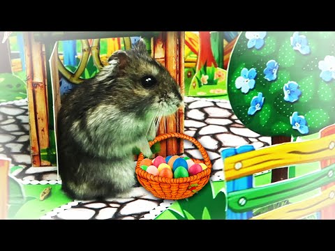 Hamster 🐹 Mario is looking for Easter Eggs in the secret room.