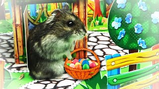 Hamster 🐹 Mario  is looking for Easter Eggs in the secret room.