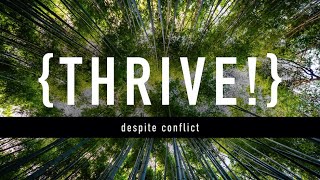 Thrive: Despite Conflict
