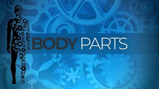 Welcome to Calvary Online!