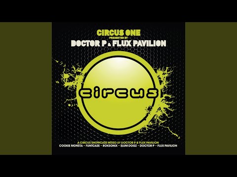 I Can't Stop (Flux's Version)